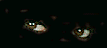 eye10.gif - 3025 Bytes